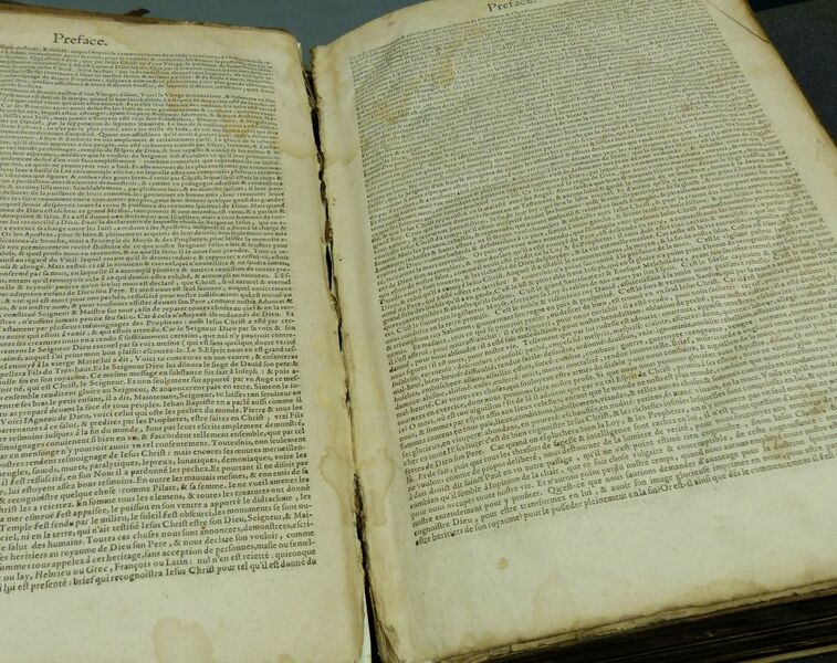 Datei:Bbfranz.160601 02.jpg