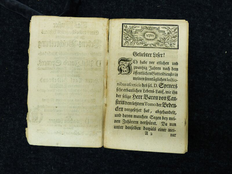 Datei:Bild 02 P1030875.jpg