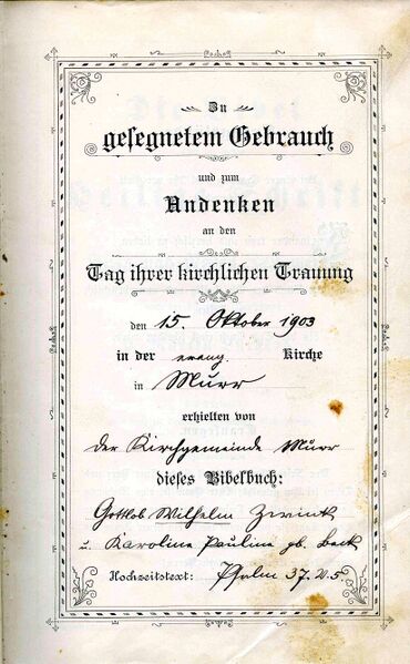 Datei:1903 Traubibel Zwink.jpg