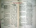 B polygl.156901
