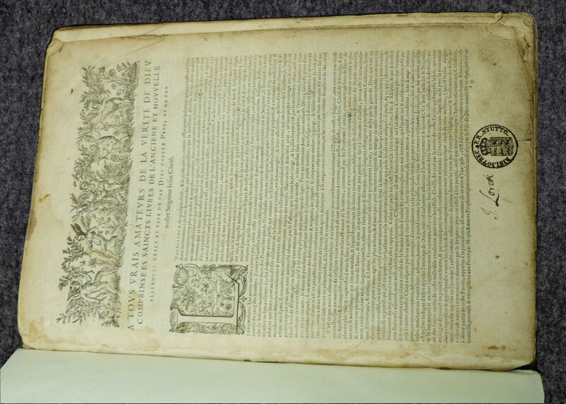 Datei:Bbfranz.160601 01.jpg
